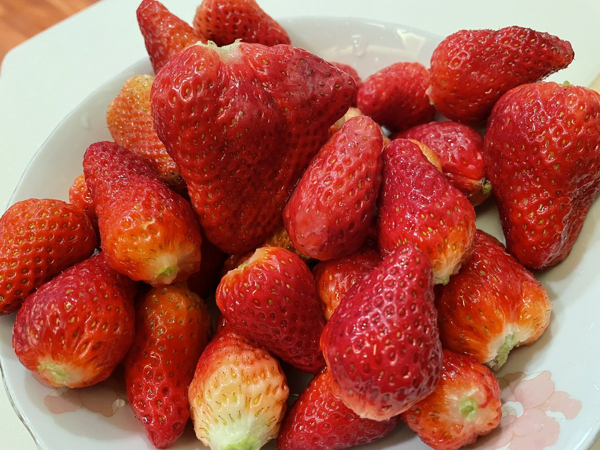moeDhh's tweet photo. 苺🍓 https://t.co/4d12baPAgo