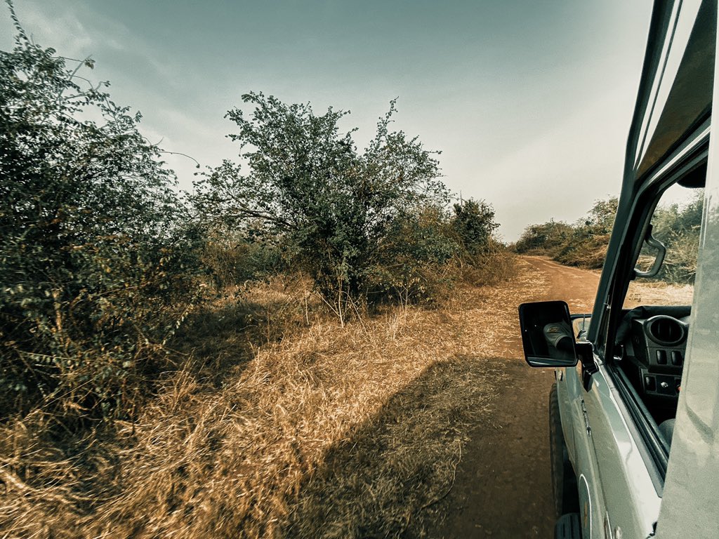 luqmanmahoro's tweet photo. Great Experience in @AkageraPark 

📸: @luqmanmahoro 

#VisitRwanda 
#AkageraNationPark https://t.co/RXa6xPVTdH