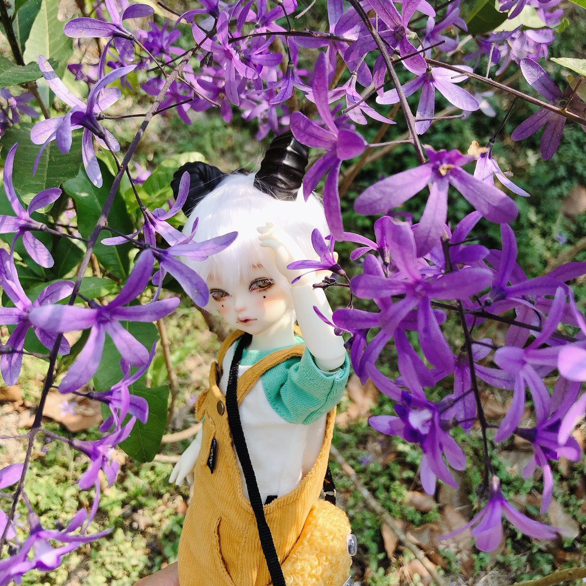 riot0705's tweet photo. 🖤☀️🌼 https://t.co/vaDkBhiq2x