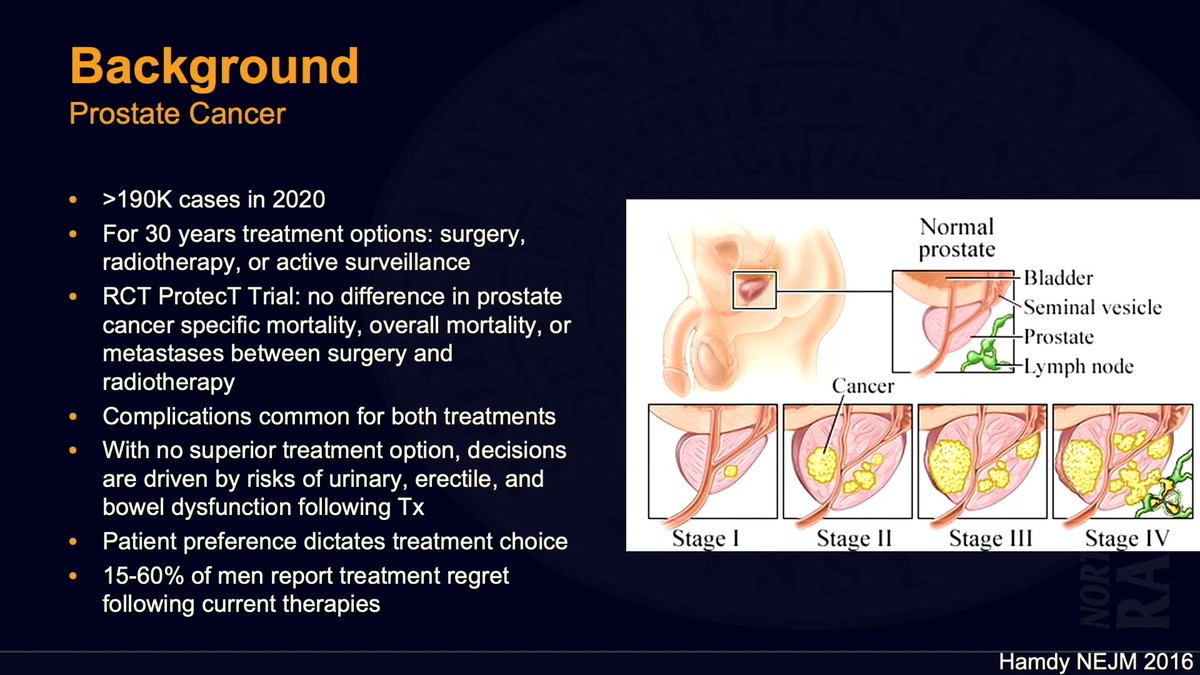 Congratulations, Dr. <a href="/SamMouli/">Sam Mouli</a>! The abstract of the year award for the study #Y90 Radioembolization to the Prostate Gland: Proof of Concept in a Canine Model and Clinical Translation has just been presented by Dr. Matthew Johnson. #SIR2021 #IRad sirmeeting.org