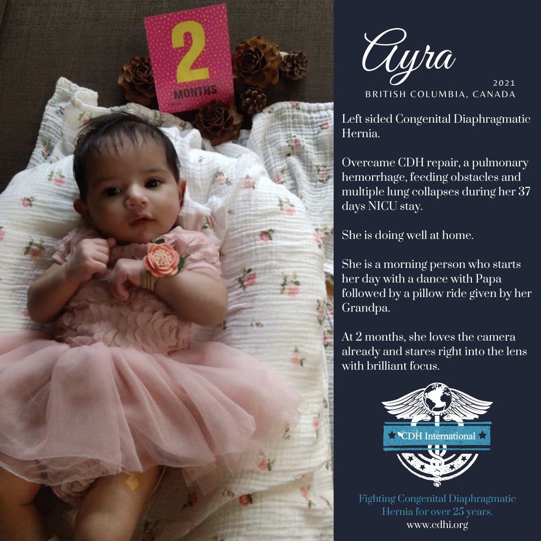 cherubs's tweet photo. Featured patient of the week CDH Survivor Ayra Raut

Read her story at https://t.co/nfCHbFjQgv

#cdh #raredisease #cdhawareness #savethecherubs #cdhi #cdhinternational #cdhresearch #cdhsupport #cdhhelp #congenitaldiaphragmatichernia #cdhsupportcharity #patientadvocacy https://t.co/SxgXFwX09o