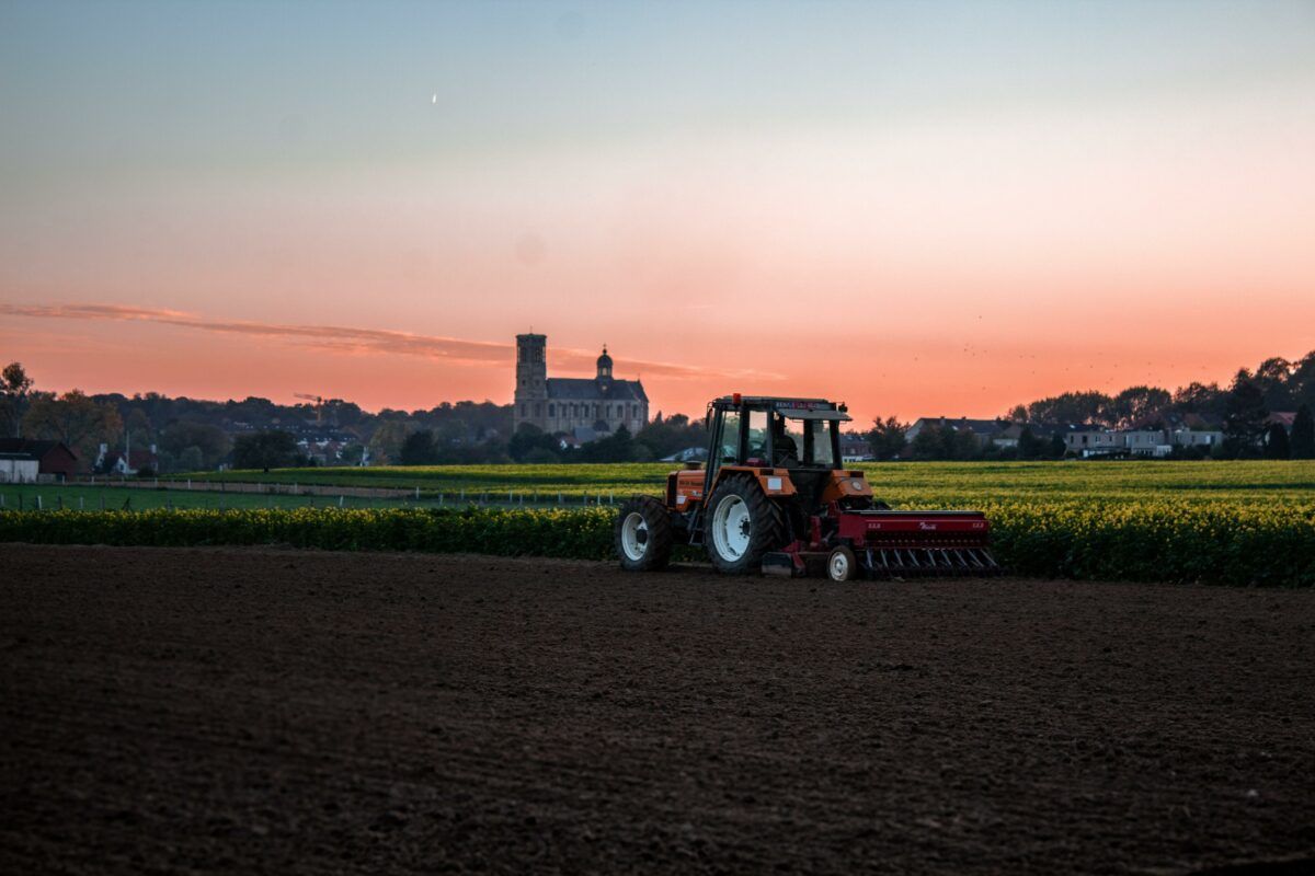 FeedAndGrainMag's tweet photo. . @NGFA Releases 'Feeding the Economy' Report ... One-fifth of nation’s economy and one-quarter of American jobs are linked to food and #agriculture sectors | https://t.co/N7XNgYzQNE #grains #feed #GrainUpdate https://t.co/gIOlOZQR4d