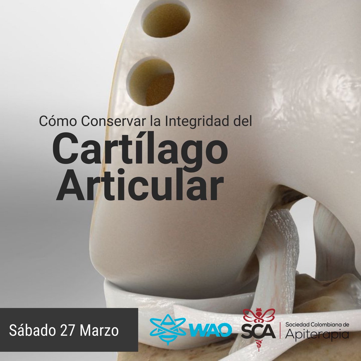 ¡Sólo por hoy abrimos 30 Cupos Gratuitos y 50% DCTO en nuestros productos! (Aplica solo para compras en Colombia) 

Regístrate gratuitamente a través del siguiente enlace: bit.ly/3rfkzZT