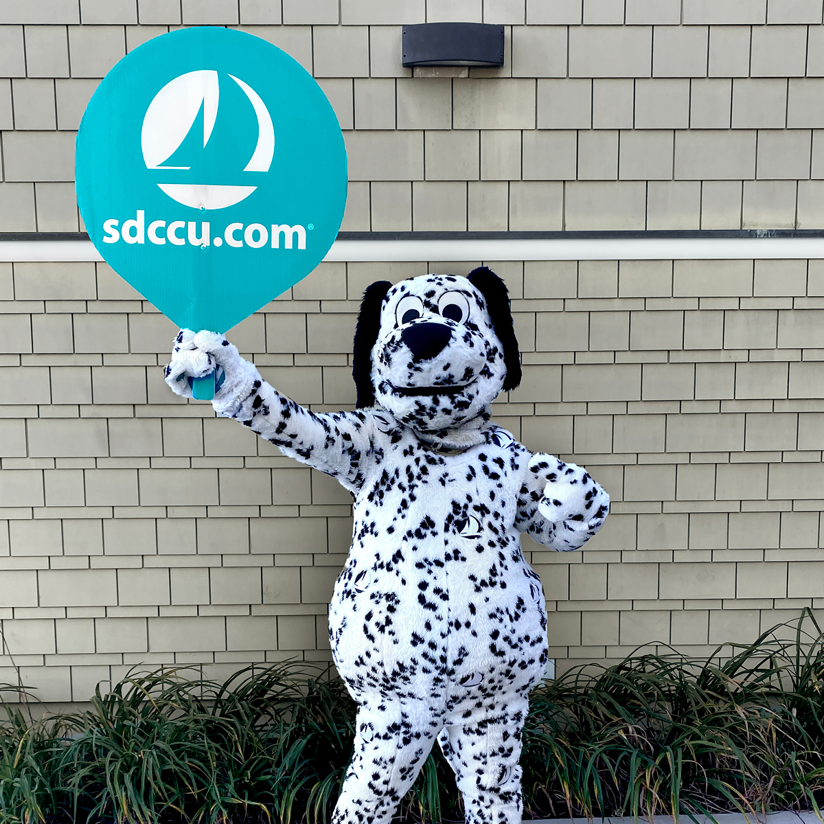 sdccu's tweet photo. Be like Sandy! Nominate us in The San Diego Union Tribune Reader’s Poll for BEST Credit Union in San Diego by visiting https://t.co/yooR88c3vh. Now through April 21.
Federally insured by NCUA
@sdut #nominate #best #SDbest #creditunion #SDUnionTribune #sandy https://t.co/wtvuuo1CSe