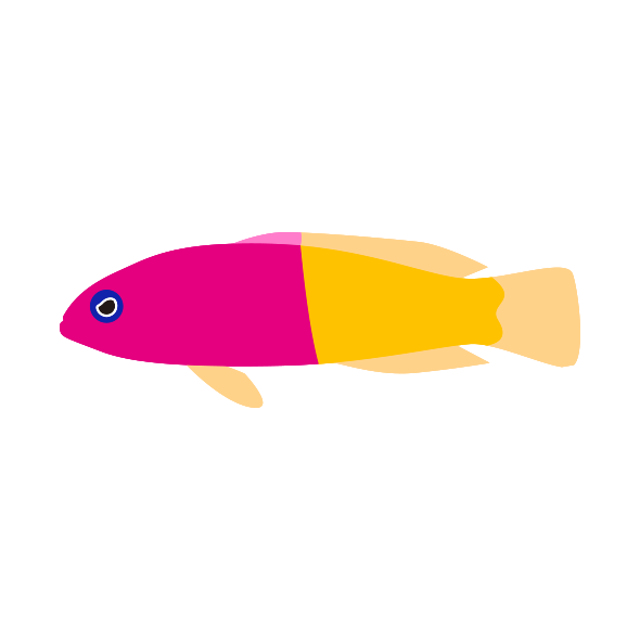 デバスズメダイのtwitterイラスト検索結果 デバスズメダイのtwitterイラスト検索結果