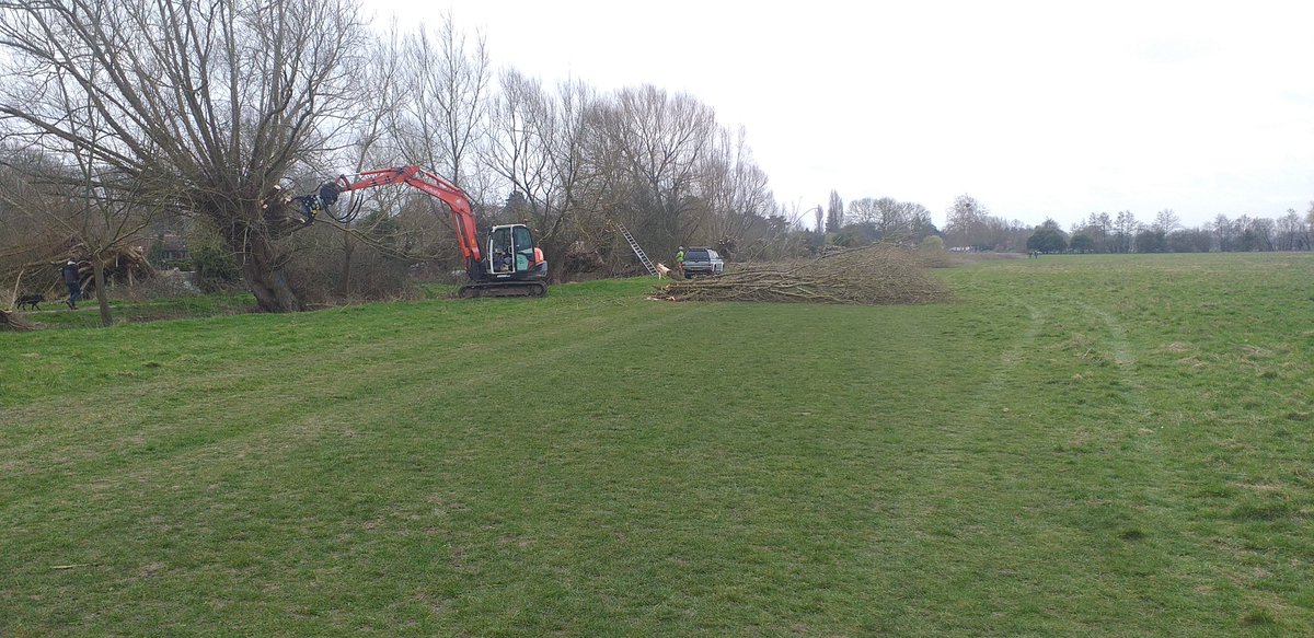 MCC_NT's tweet photo. Experienced contractors have begun pollarding selected willows at Cock Marsh. Thanks to Copas farms for helping with access, due to ground conditions this was impossible earlier in the year. Please observe signage and path closures. See the attached poster for further info. https://t.co/2VX2KOew0R