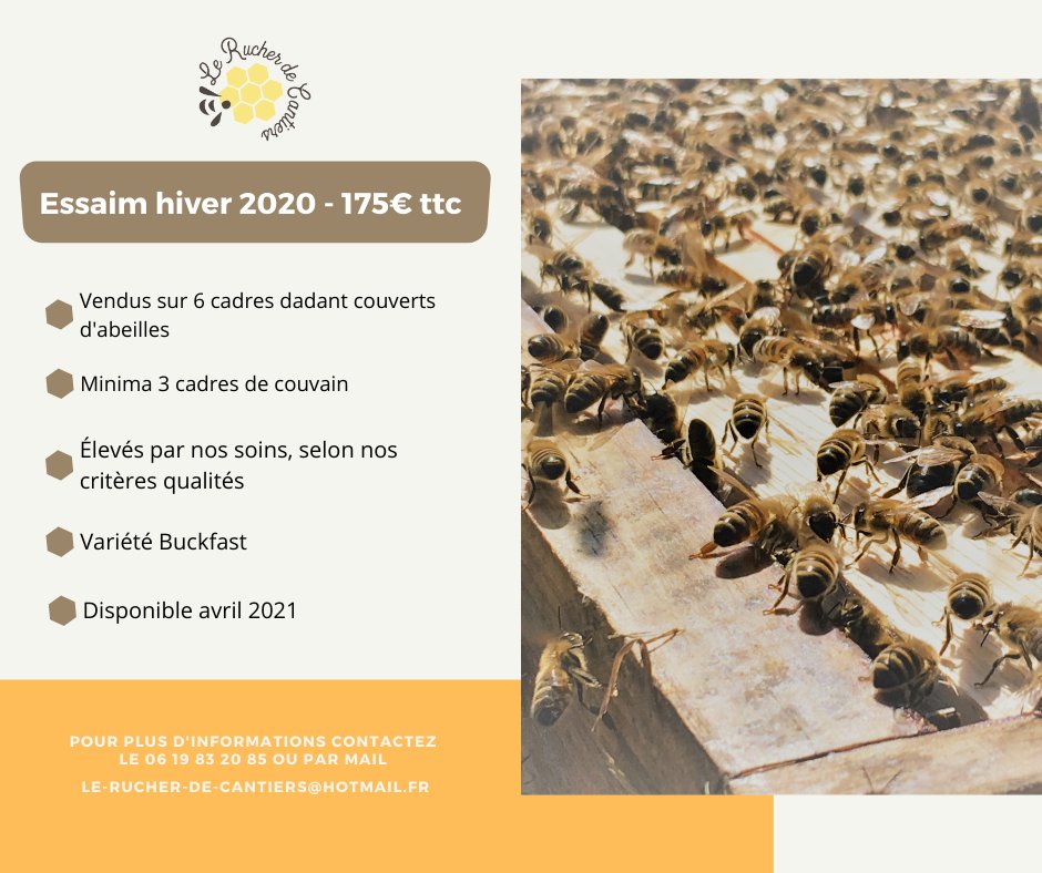 LCantiers's tweet photo. La saison apicole reprend ! Nous vous proposons quelques produits d'élevage pour vos ruches ! N'hésitez pas à nous contacter par mail ou téléphone pour plus d'info ! #Normandie #apiculture #abeilles 
➡️ le-rucher-de-cantiers@hotmail.com 
➡️ 06 43 31 32 00 https://t.co/YHMqQRF1Z1