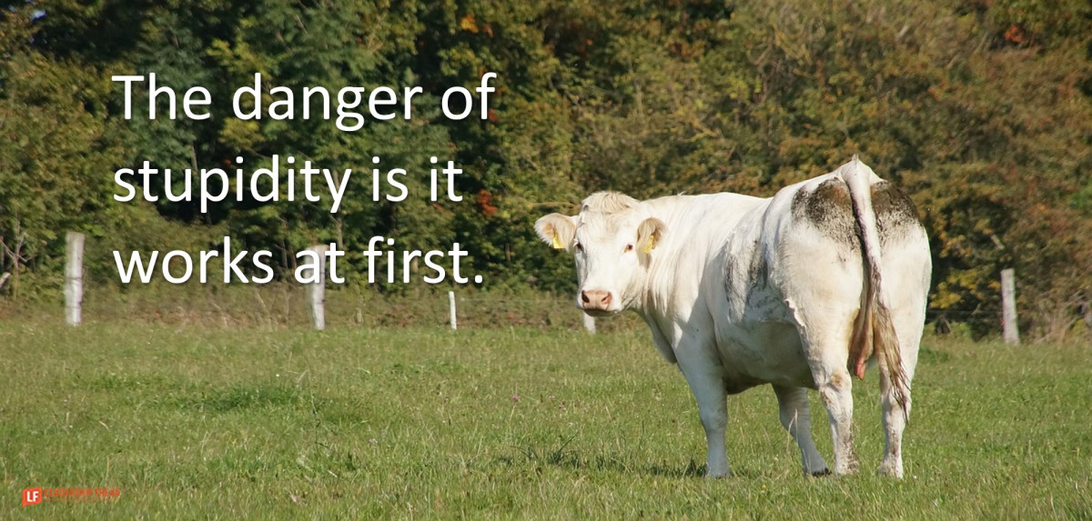 Anabel Domínguez (@anabeldo) on Twitter photo How to Stumble Toward Wisdom and Find Success dlvr.it/RwHXw3 How to Stumble Toward Wisdom and Find Success dlvr.it/RwHXw3