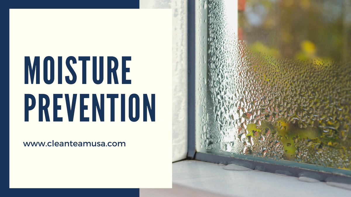 Learning how to control moisture levels throughout your home can drastically reduce the chances of mold, and save you the hassle of dealing with the clean-up.⁣
⁣
Learn more here: ⁣cleanteamusa.com/.../restoratio…...

#CleanTeam #OurStandardsAreNotStandard #LoveLansing #LansingMI