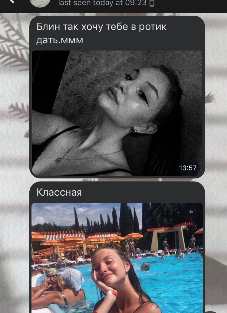 mykatkk's tweet photo. программа в мире животных долбаебы среди нас https://t.co/1yApHjCYWu