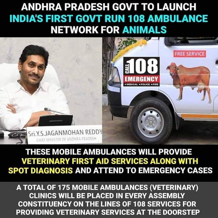 In Gujarat There is Is 1962 HELPLINE LIKE THIS ..BUT IT IS NOT ENOUGH AS THEY ARE LIMITED IN NUMBERS AND MOST OF THE ANIMALS DONT Receive Timely Treatment hence many of them dies before ambulance arrives ..need to be more kind to animas and have more and more ambulances 
<a href="/CMOGuj/">CMO Gujarat</a>