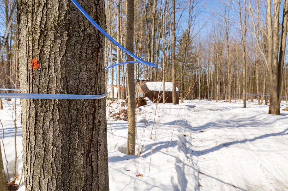 Les Fermes Lufa tweet media