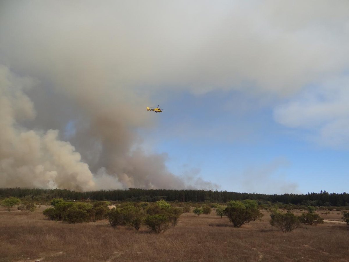 CONAF - Corporación Nacional Forestal tweet media