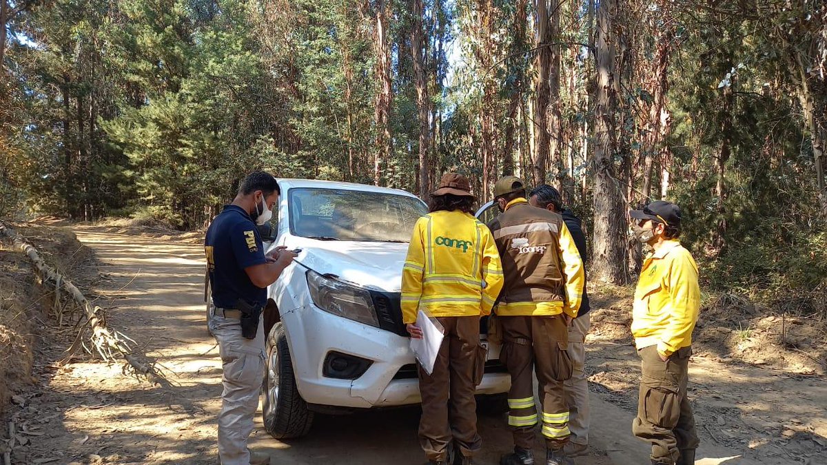 CONAF - Corporación Nacional Forestal tweet media