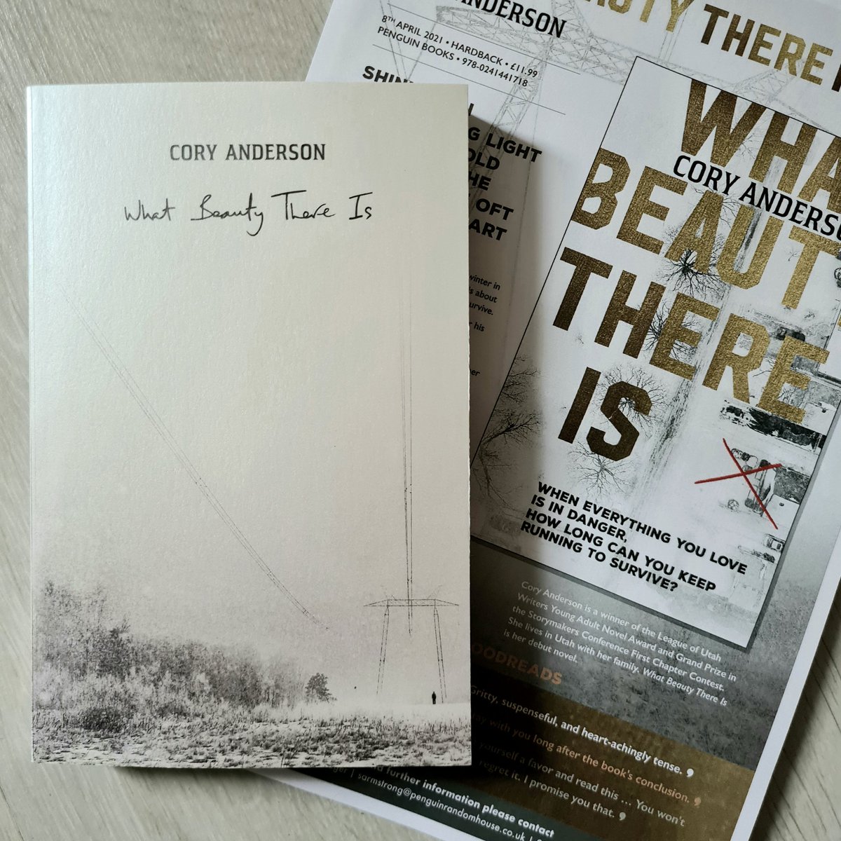 _forbookssake's tweet image. The postman was very late today, but he delivered beautiful #bookmail so I&apos;ll let him off!

A massive thank you to @penguinplatform for my ARC of #WhatBeautyThereIs by @coryanderwrites!

@The_WriteReads @WriteReadsTours #UltimateBlogTour #gifted