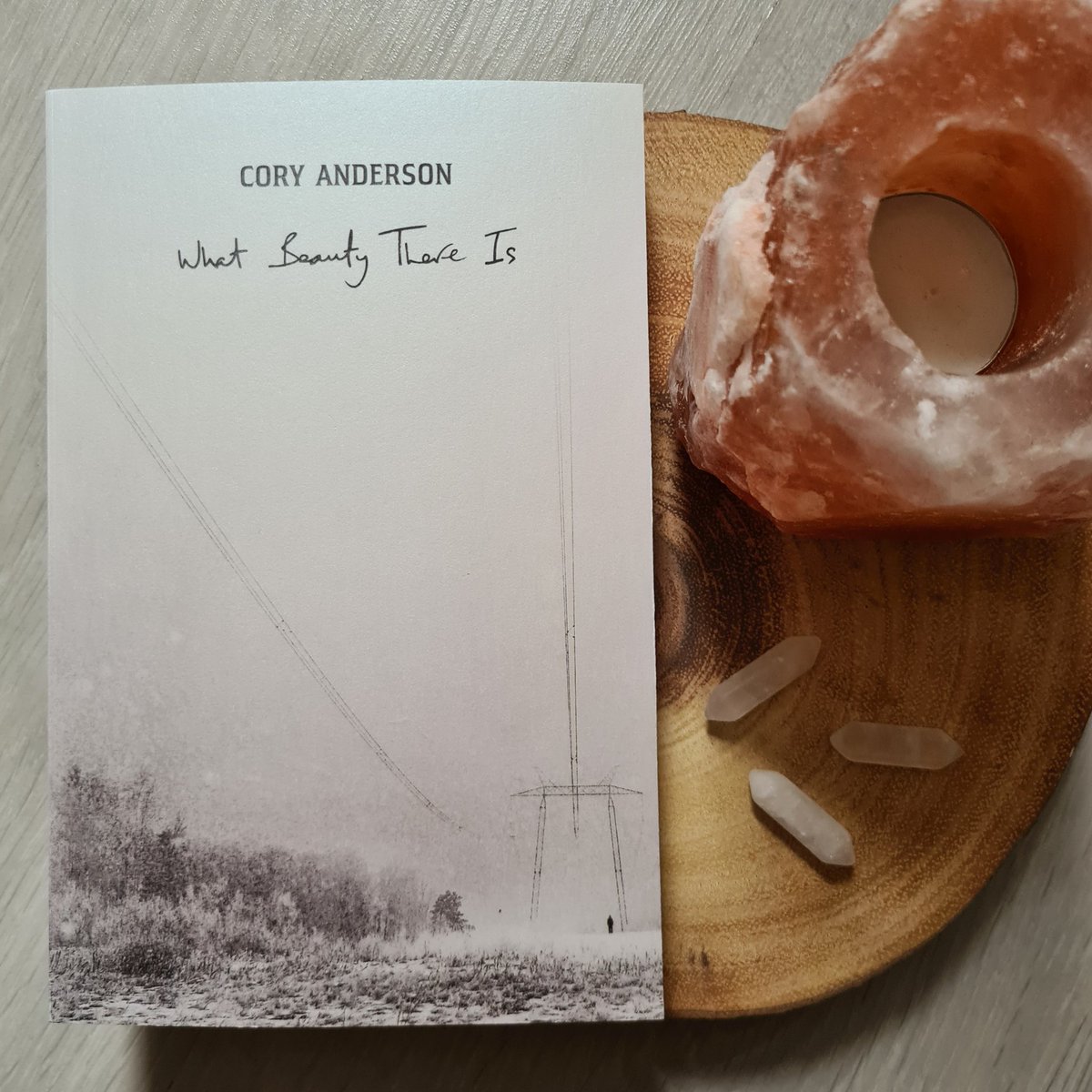 _forbookssake's tweet image. The postman was very late today, but he delivered beautiful #bookmail so I&apos;ll let him off!

A massive thank you to @penguinplatform for my ARC of #WhatBeautyThereIs by @coryanderwrites!

@The_WriteReads @WriteReadsTours #UltimateBlogTour #gifted
