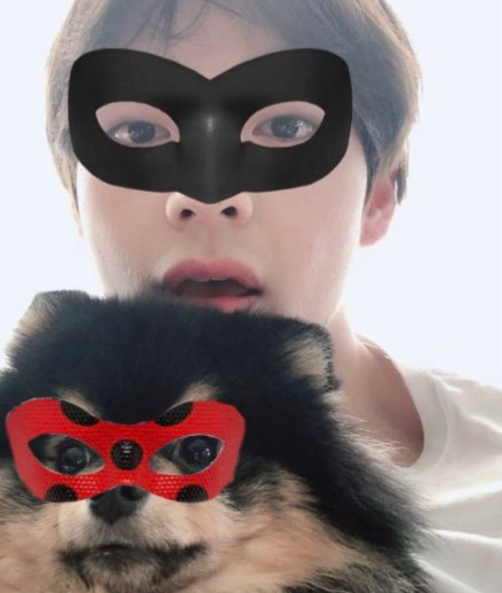 hatakewebb's tweet image. miraculous  !!!! 🐱🐞