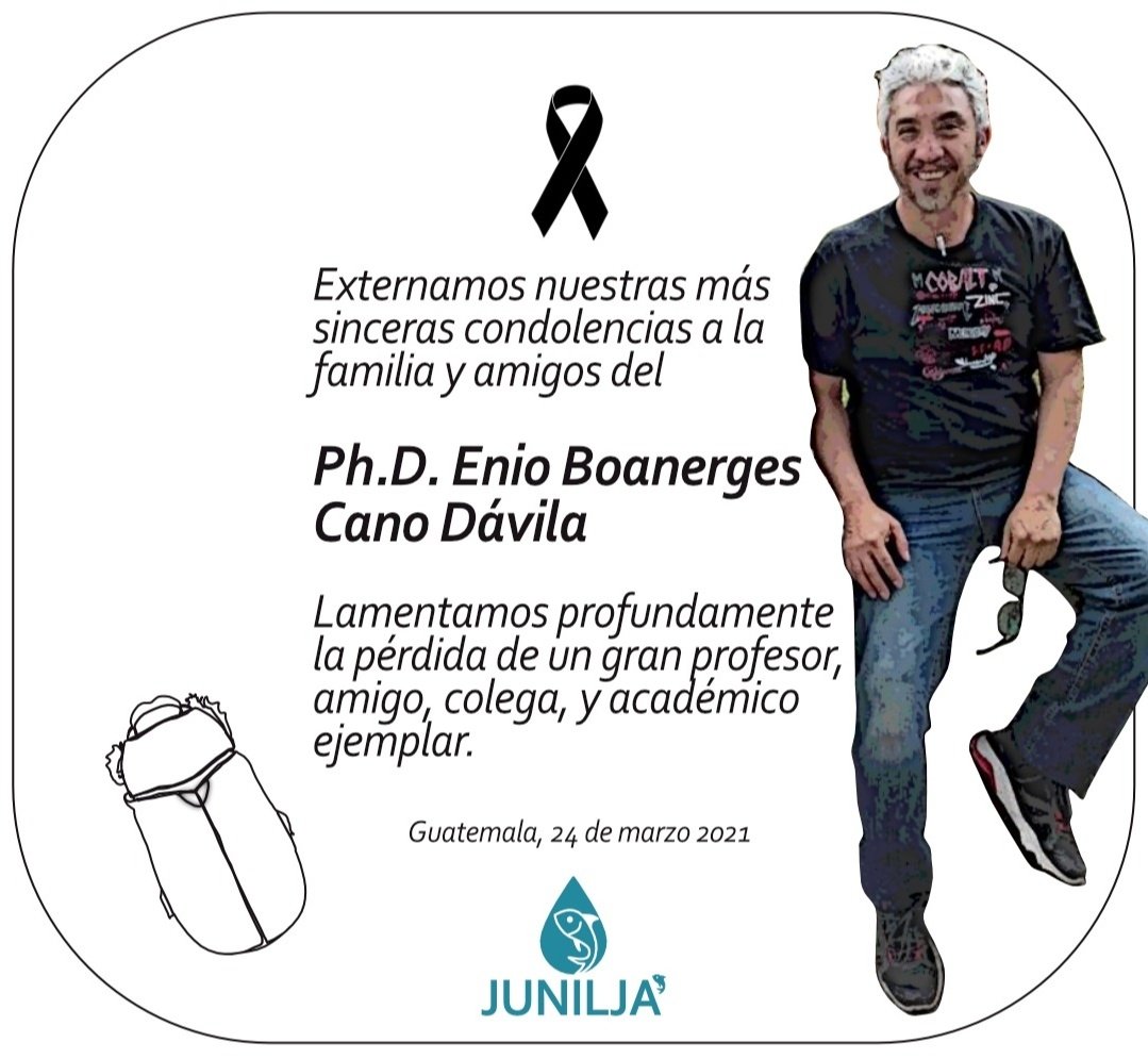 Junilja' ONG tweet media