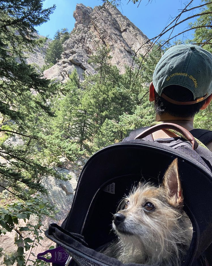 Petco's tweet photo. Who will you bring on your next great adventure? We hope it's your best friend. https://t.co/XwXNJdrO2G #reddypets https://t.co/IrCpxrH7if
