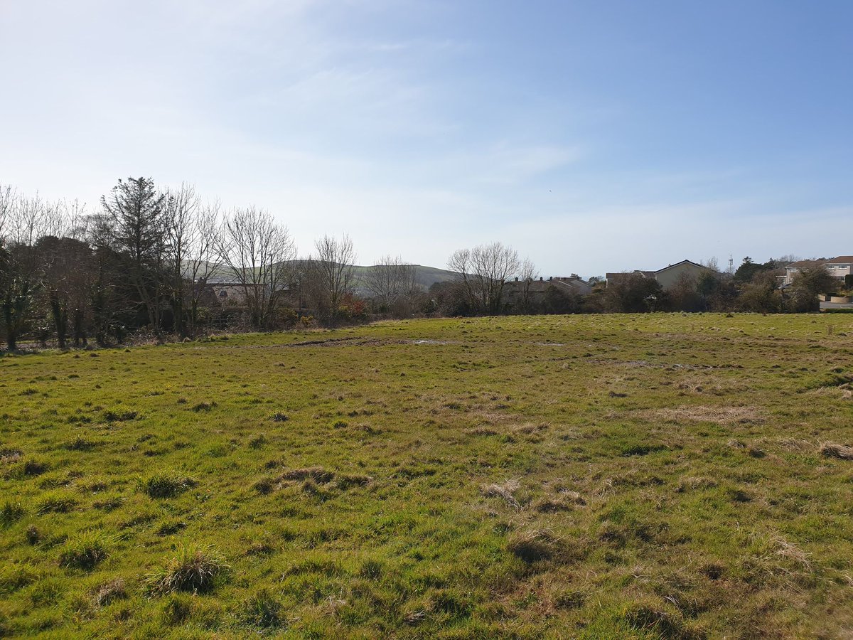 jackiesayce's tweet photo. @CeredigionCC do you know of any reason why the goalposts from Erw Goch Field have been removed today? They support a recently submitted application for Village Green Status; which is worrying. @openspacessoc
BEFORE AFTER https://t.co/2cgWKzF0GN