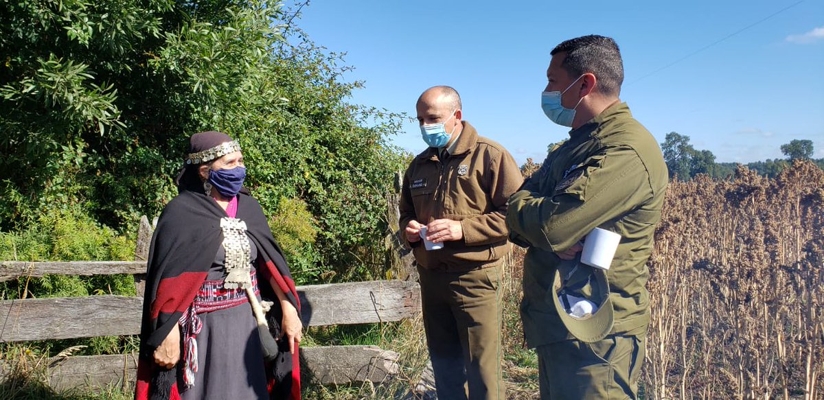 CarabLosRios's tweet photo. #RioBueno: Invitados por la comunidad Amancay Rayen, Carabineros de la 4ª Comisaría, encabezados por su Comisario y Subcomisario, participan de Cosecha de la Quinoa, tradicional actividad que se realiza en el sector #Champulli.
#CarabinerosDeTodos https://t.co/3S8xtL0nq8