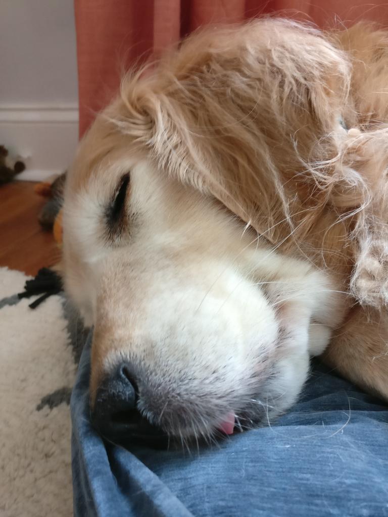 Gabriel Starrett tweet media