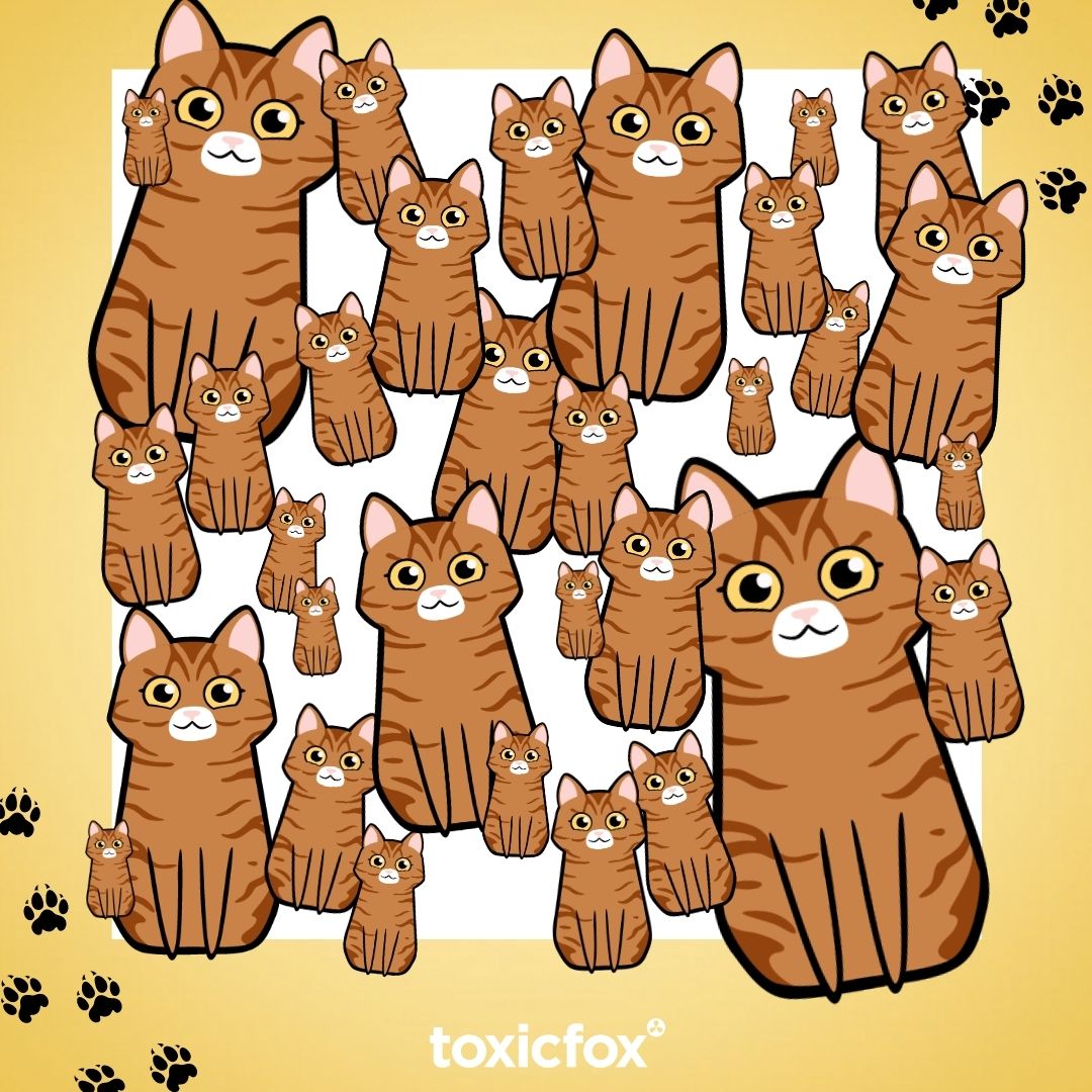 toxicfox.co.uk tweet media