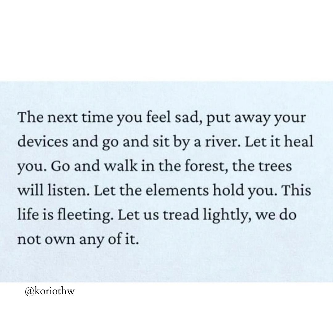 CampMilagro2's tweet photo. The Great Outdoors can do much to restore your soul. Life can get busy, lonely, be sad, overwhelming ... take a few minutes to breathe in nature &amp; appreciate what is outside https://t.co/fGCWkMS5gA