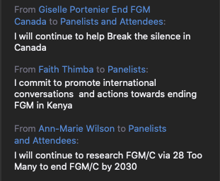 ThereIsNoLimitF's tweet photo. #Committments to #EndFGM at our joint #CSW65 side event. Thank you to all of the speakers and attendees that joined us today. @aya_chebbi @alyahard @TheAlima @OrchidProject @ENDFGM_Network @AM28toomany @28TooMany @isa_ilerbe_bake @LeylaHussein @mariyataher83 @sahiyovoices https://t.co/eXYJuj6a9H