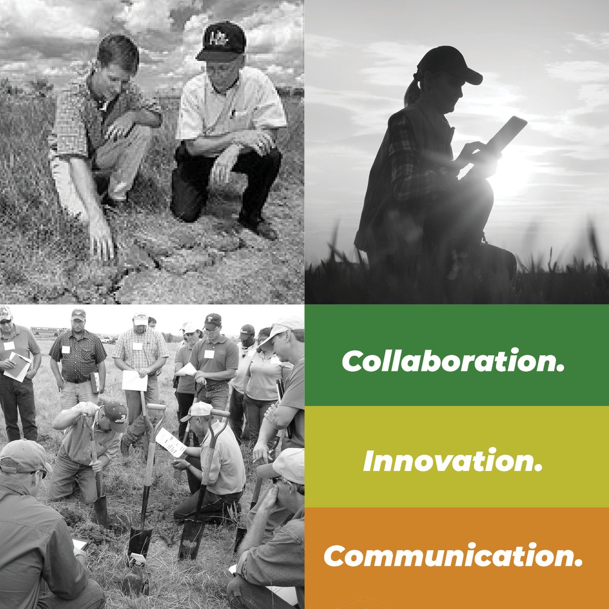 MRFImpacts's tweet photo. We're celebrating #AgWeek by celebrating the importance and impacts of innovative, collaborative land-grant university research and Extension.
See the impacts of ag research: https://t.co/vBZ435jIFn
#AmazingAg #AgIsEverything https://t.co/den1buLlEG