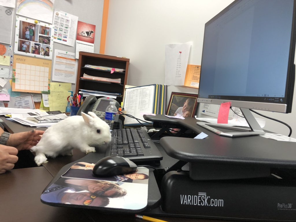 Jack also tried to help out in the principals office!  Waterloo Wednesday! <a href="/BavisTerri/">Terri Bavis</a> #prideinourtribe