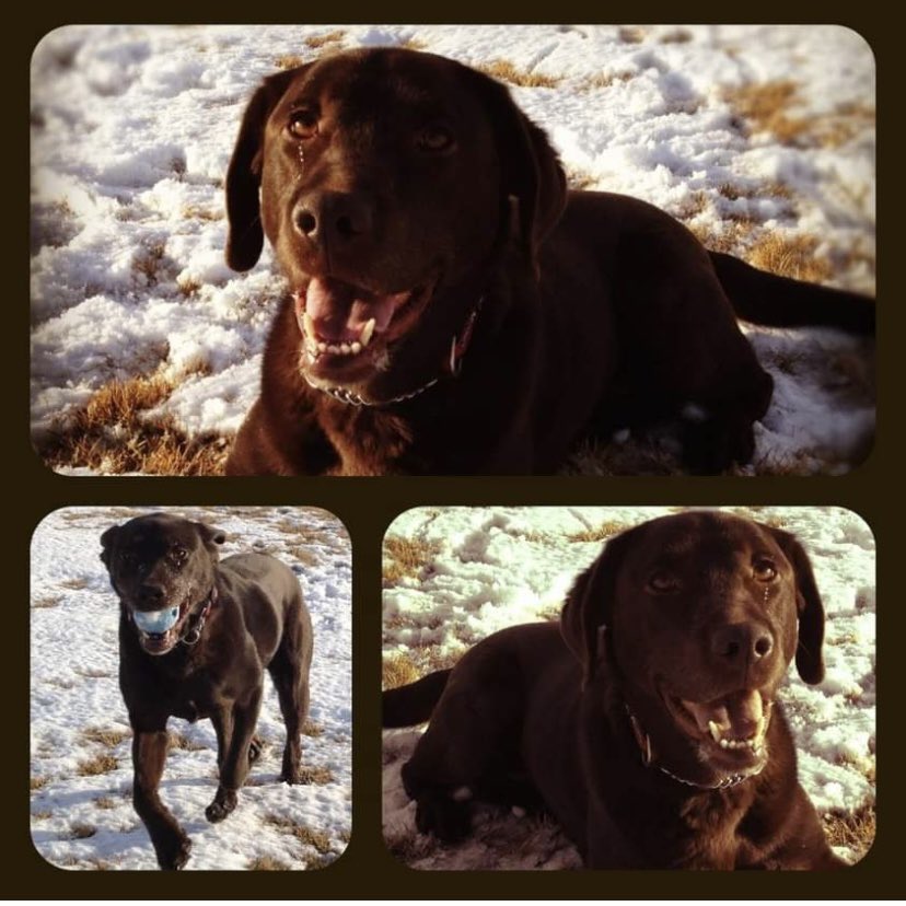 stainlessstyled's tweet image. 