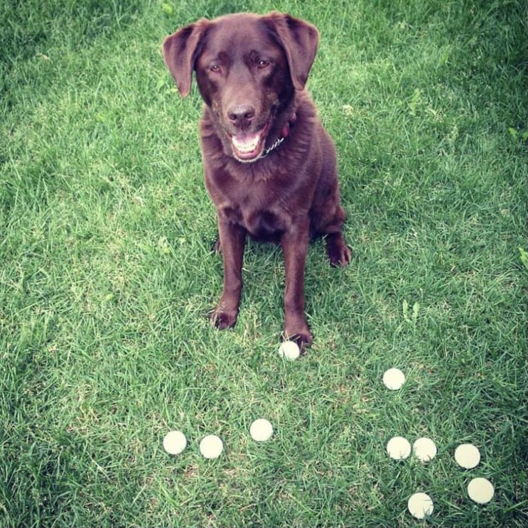 stainlessstyled's tweet image. 