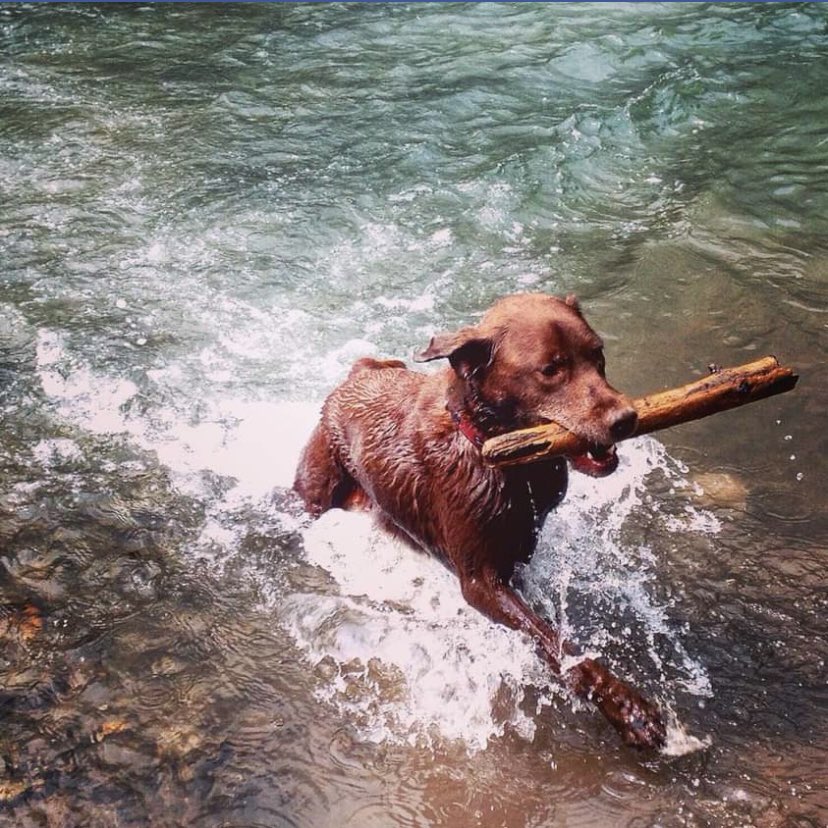 stainlessstyled's tweet image. 