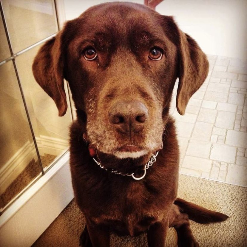 stainlessstyled's tweet image. 