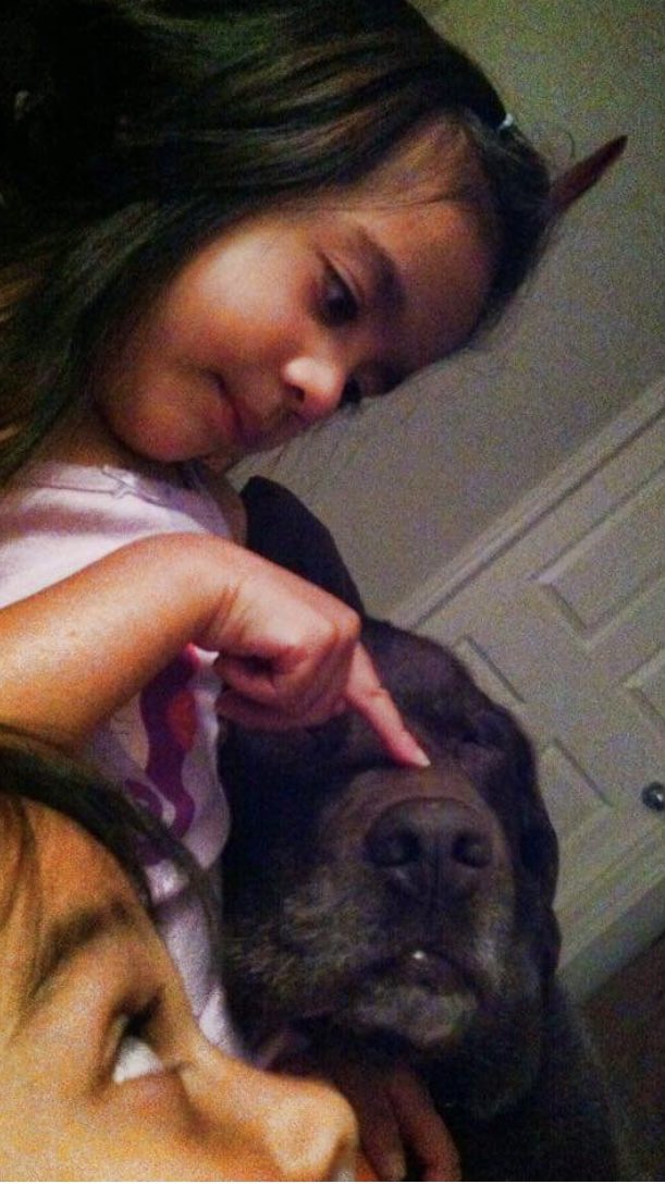 stainlessstyled's tweet image. 