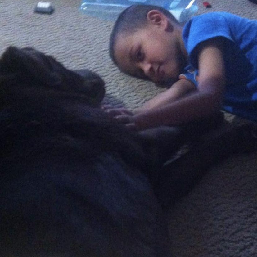 stainlessstyled's tweet image. 