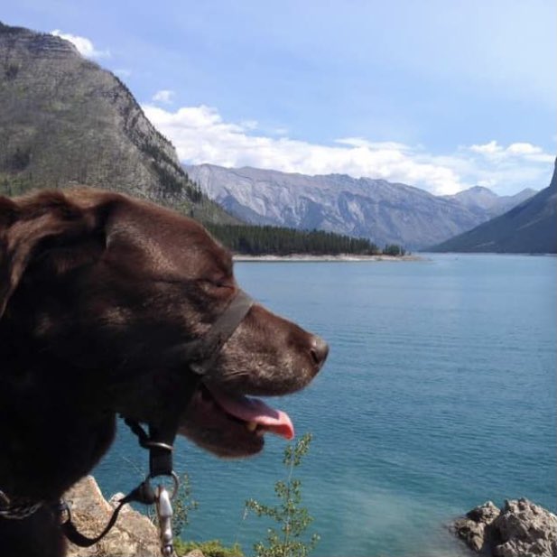 stainlessstyled's tweet image. 