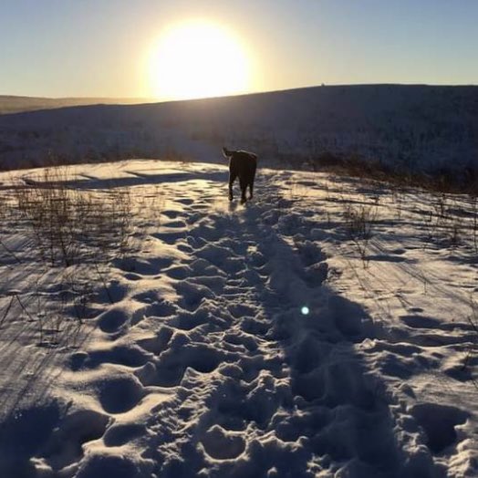 stainlessstyled's tweet image. 