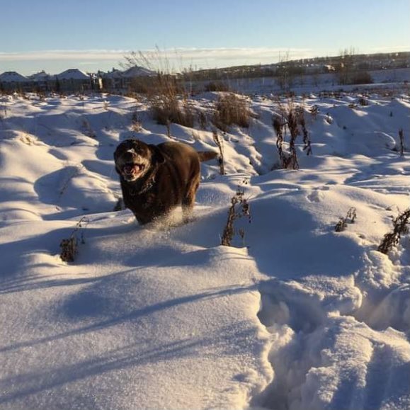 stainlessstyled's tweet image. 