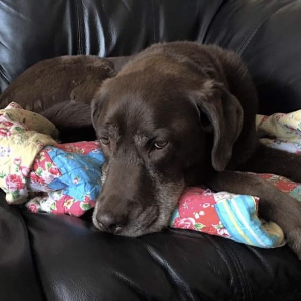 stainlessstyled's tweet image. 