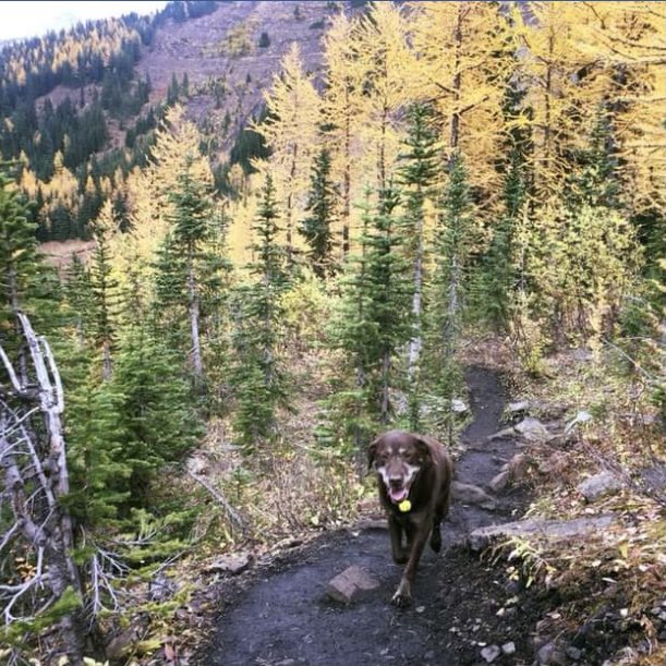 stainlessstyled's tweet image. 