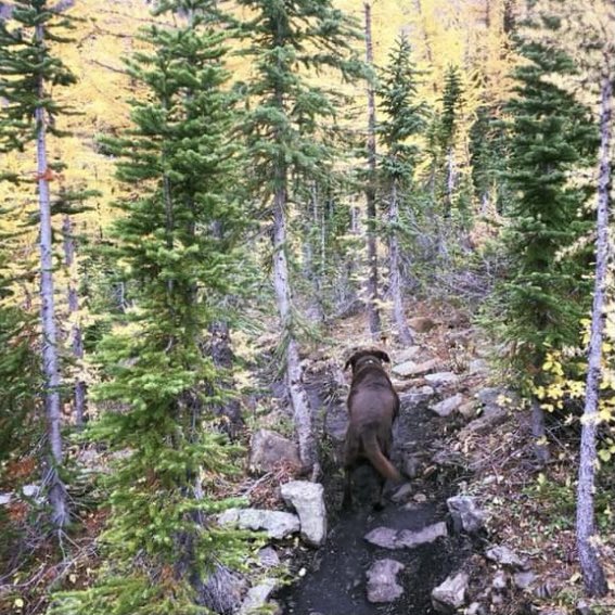 stainlessstyled's tweet image. 