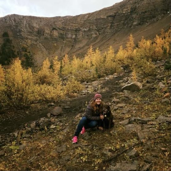 stainlessstyled's tweet image. 