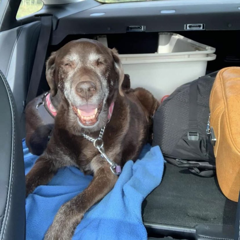 stainlessstyled's tweet image. 