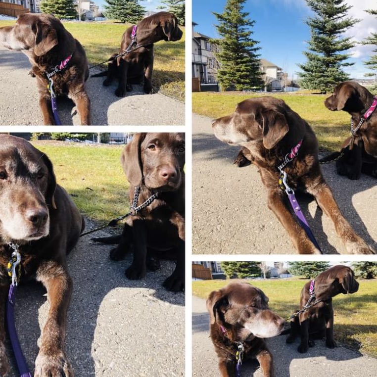 stainlessstyled's tweet image. 