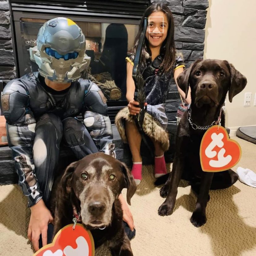 stainlessstyled's tweet image. 