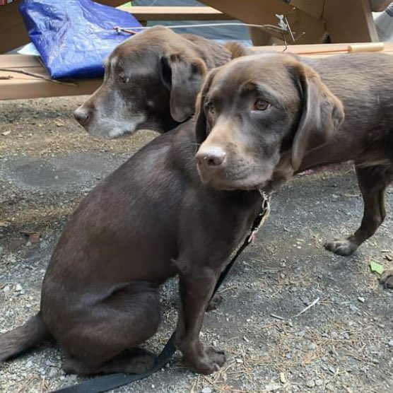 stainlessstyled's tweet image. 