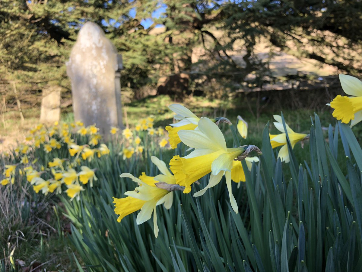 Pleased to help mourners today share their final farewells at #cranford crematorium #livestreaming in #Bristol