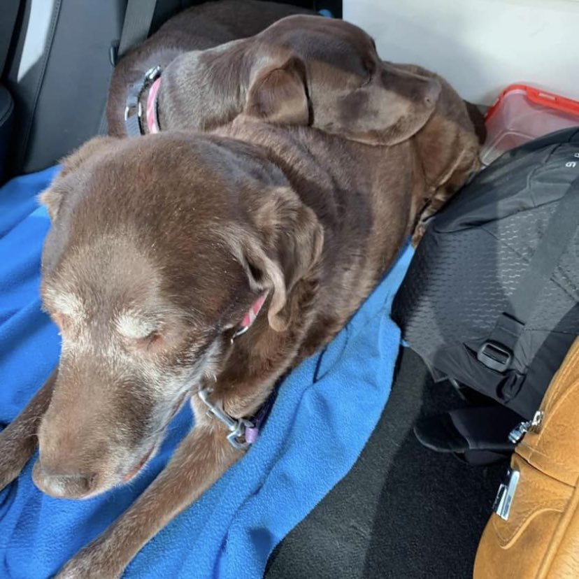 stainlessstyled's tweet image. 